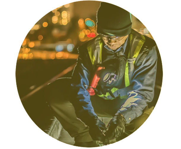 Equipo de expertos de DeepSafe